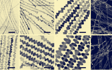 Nature子刊：Pt-Co納米線高效ORR性能!