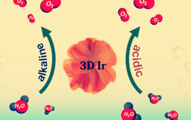 Nature子刊：高OER活性的Ir 納米片3D組裝體！