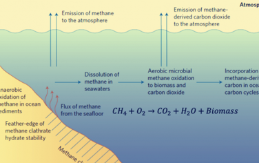 Science: 甲烷氧化獨行俠-厭氧甲烷氧化菌！