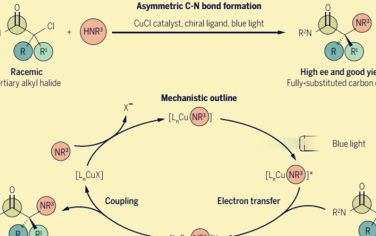 Science：可見光驅動Cu催化C-N交叉偶聯！