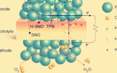 Nature：鈣鈦礦燃料電池新突破！