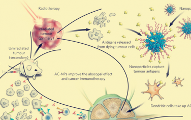Nature子刊：納米顆粒增強腫瘤免疫療法異位效應！