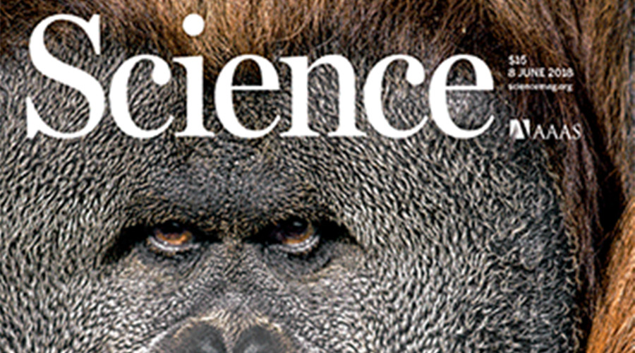中國科學家一天發表3篇Science，國科大占2席！