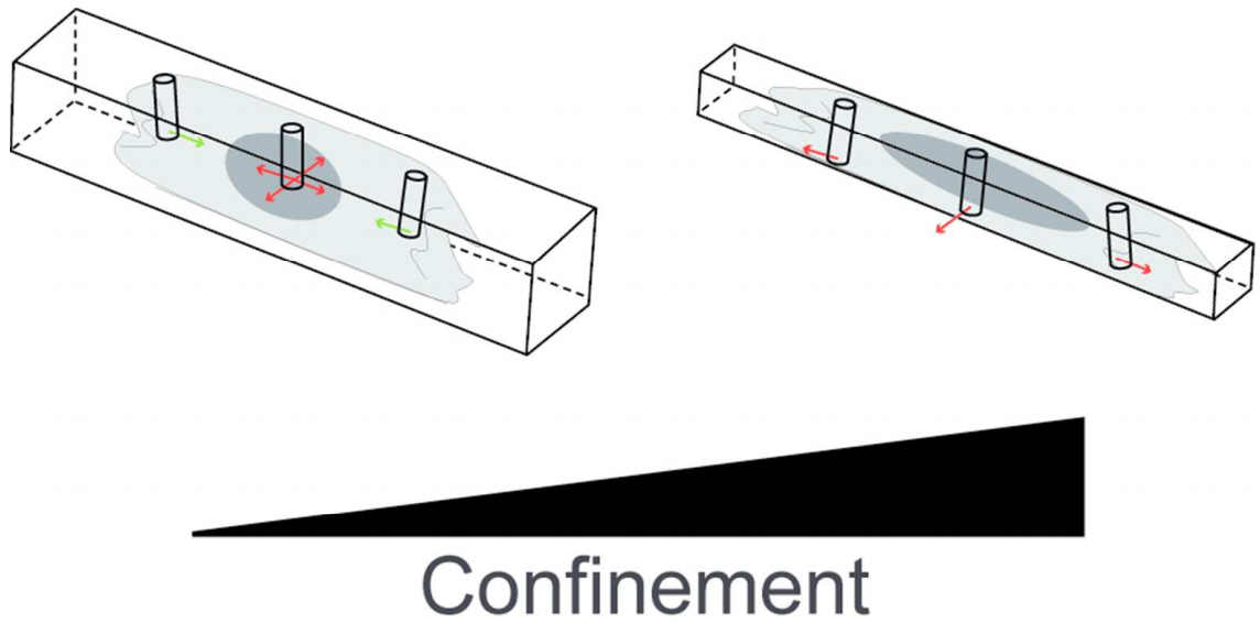 image005.png