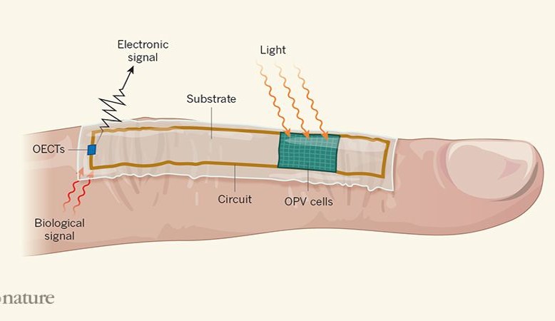 Nature：柔性可穿戴電子器件里程碑新突破！