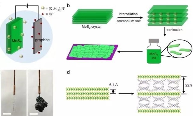 段鑲鋒/黃昱夫婦今年第3篇Nature：MoS2構建大面積電子器件！