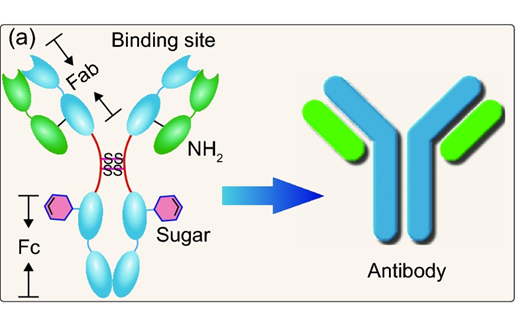 NSR綜述 | 生物大分子納米結構界面工程：從精確組裝到精準生物傳感