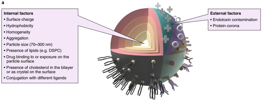 image001.png