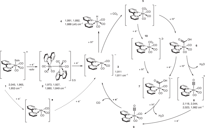 今日3篇Nature Catalysis：CO還原、CO2還原和O2還原！