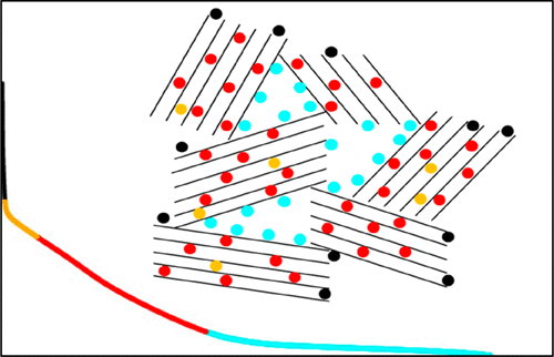 image005.png