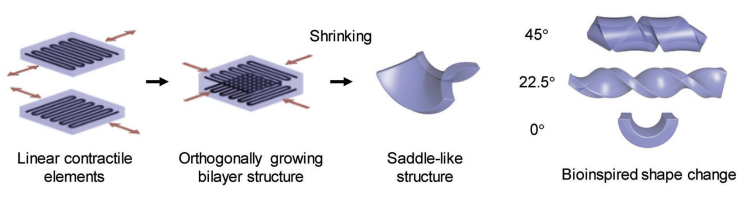 image008.png