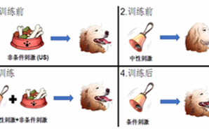 寧波材料所：柔性氧化物神經形態晶體管新進展！