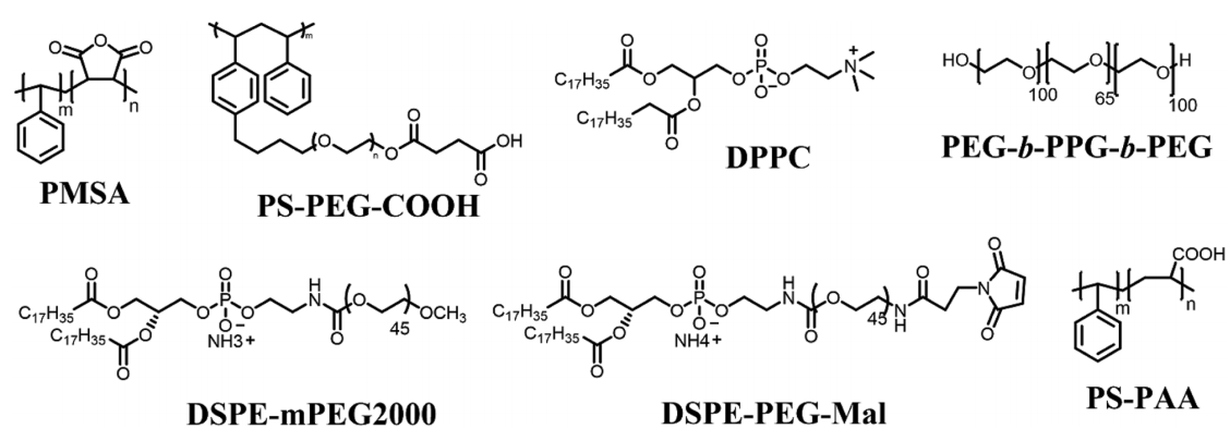 image005.png