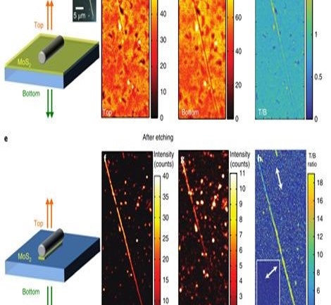 斯坦福大學Nature Photonics：FDTD助攻納米線調控量子光源輻射特性！