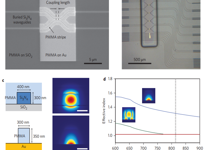 Nature Photonics：雙等離子體量子干涉