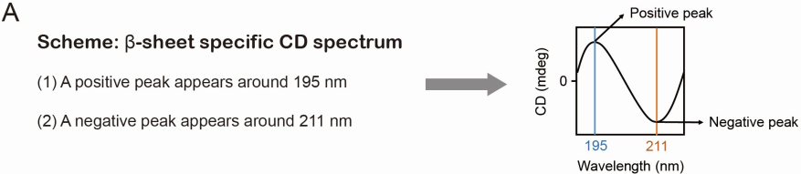 image004.png