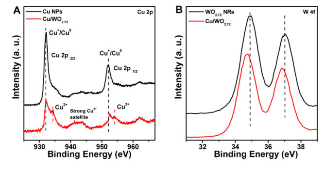 figure2-.png