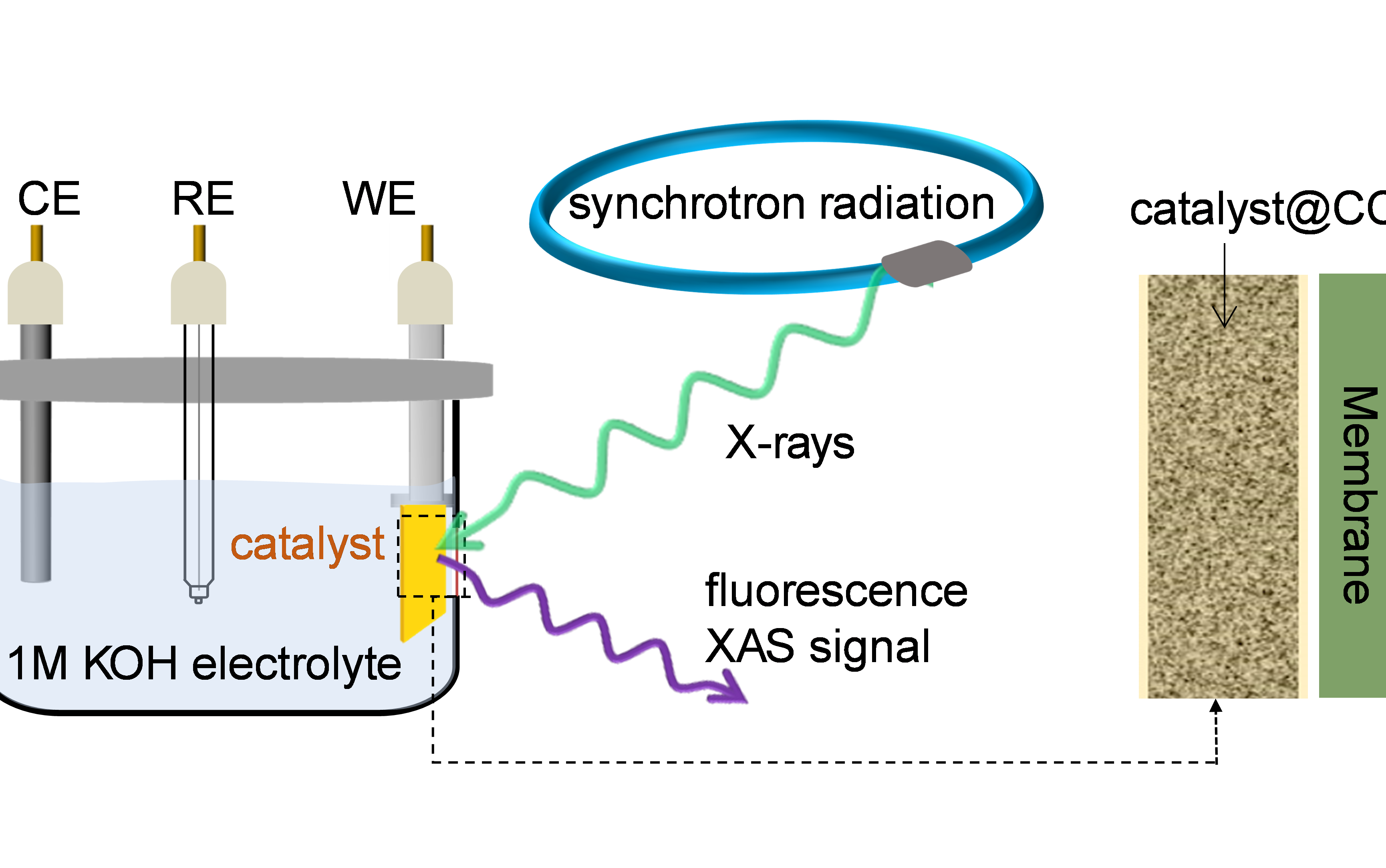 中科大Nature Catalysis：原位同步輻射揭示電催化真實反應活性位點！