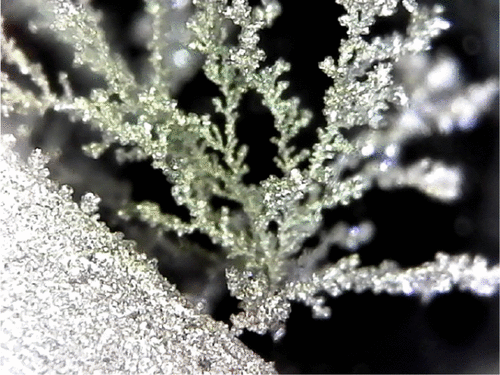 image006.png