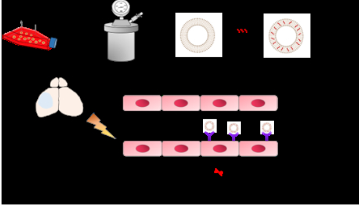 image003.png