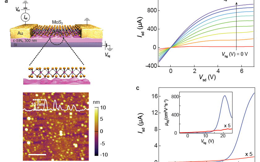 Nature Nanotechnology：二維褶皺場效應晶體管！