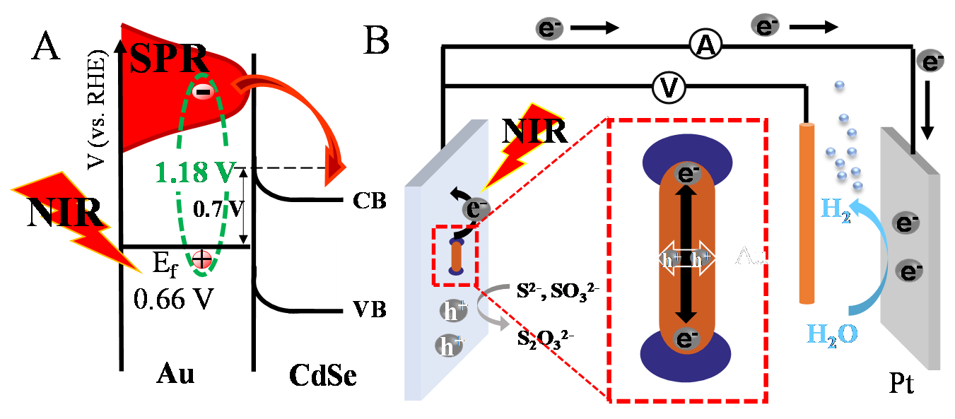 6-.png