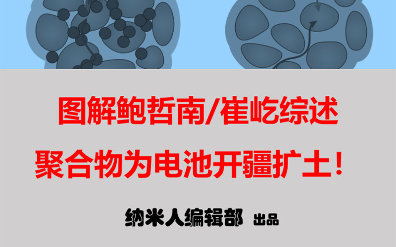 圖解鮑哲南/崔屹Nature Rev. Mater.：聚合物為電池開疆擴土！