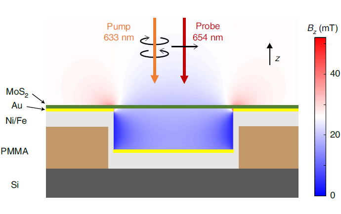張翔院士Nature Photonics，劉斌院士、鄧德會、汪國秀等成果速遞丨頂刊日報20190530