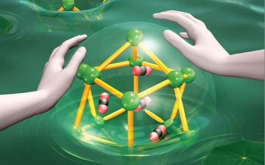 暨南大學JACS封面：模擬肺泡功能的金屬有機籠