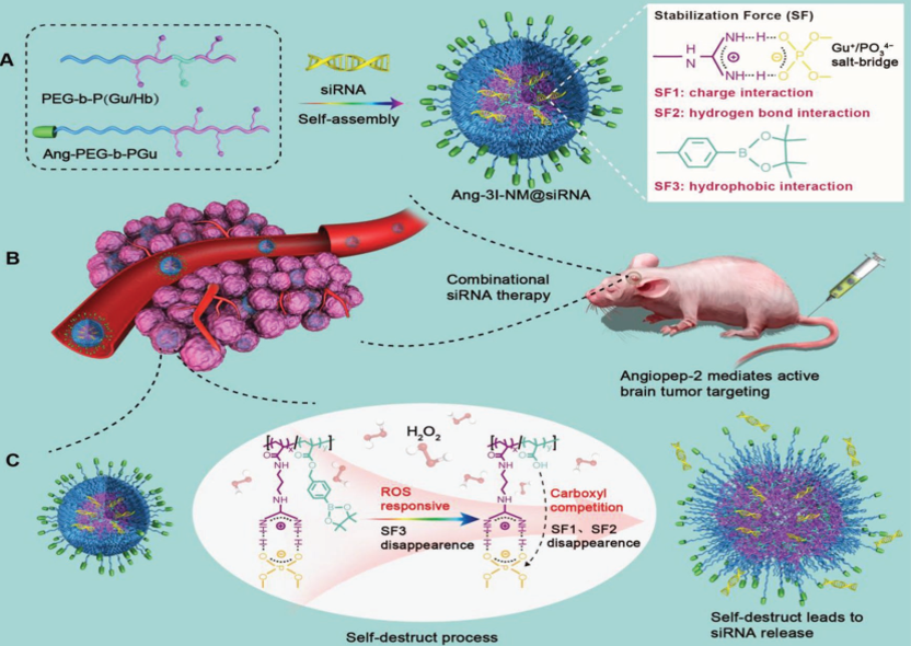 JACS/AM 8篇，施劍林/陳雨、張強、崔宗強/何治柯、匡代彬等成果速遞丨頂刊日報20190808