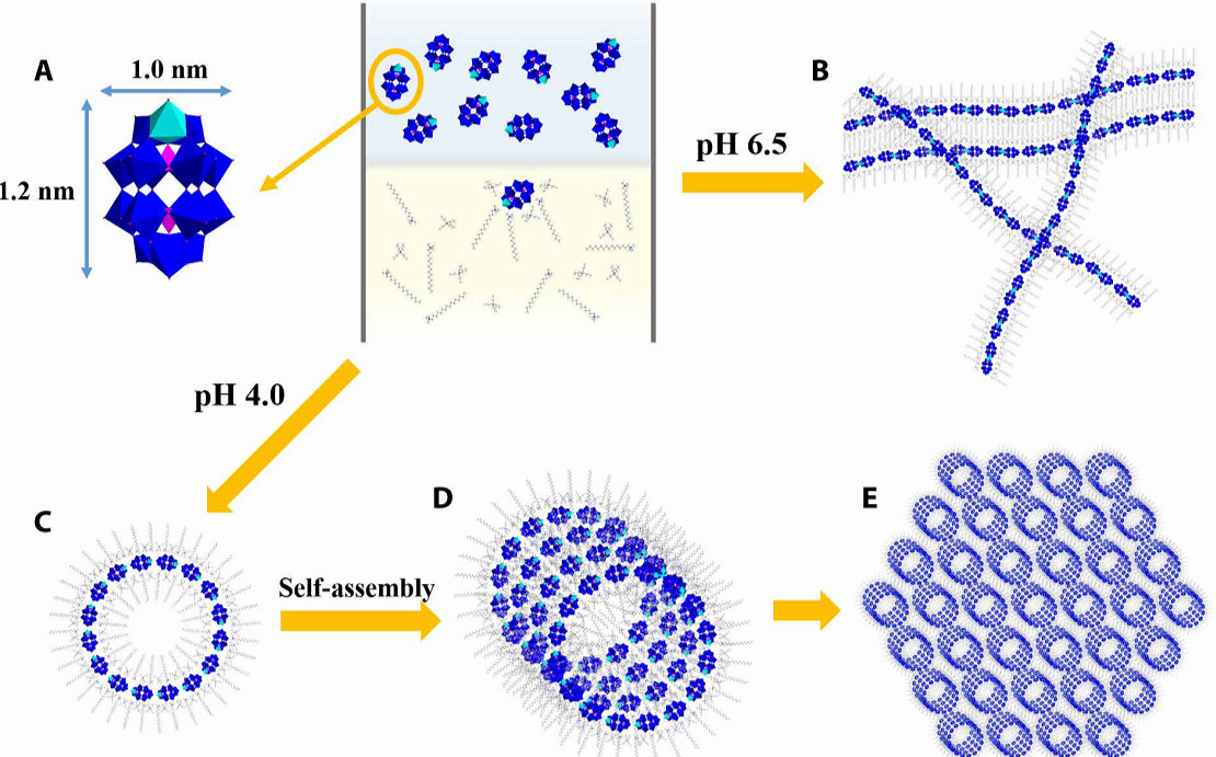清華大學(xué)王訓(xùn)Science Advances：適用于至少15種多酸單團(tuán)簇的精確自組裝策略！