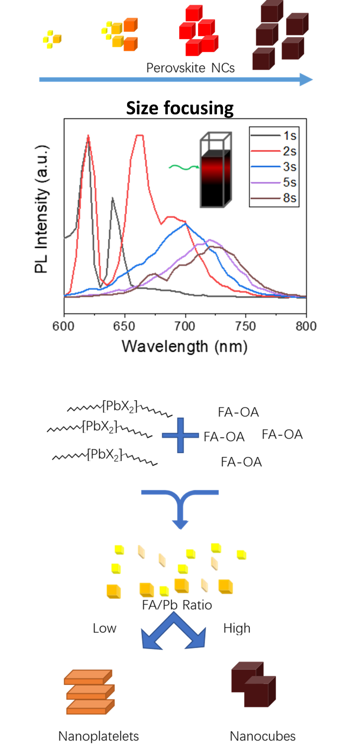 3-.png