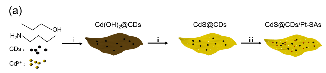 1567227465819785.png 2-.png