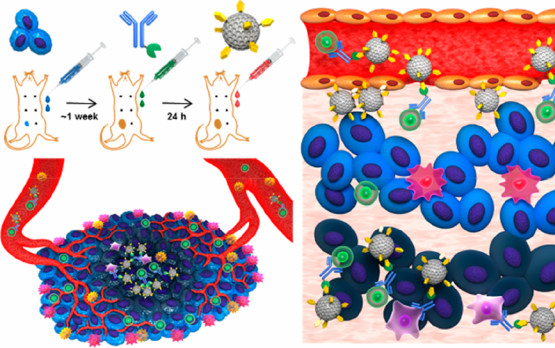 9篇JACS，張華、陳曉東、谷林、廖良生、孫洪濤等成果速遞丨頂刊日?qǐng)?bào)20190903