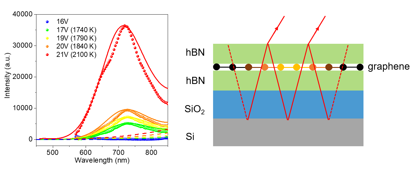 3-.png