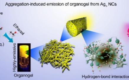 JACS/Angew 9篇，唐本忠、王訓(xùn)、江煥峰、李洪光、王建國等成果速遞丨頂刊日報20191006