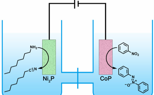 CoP電催化合成氧化偶氮、偶氮和胺類芳香化合物 | NSR研究論文