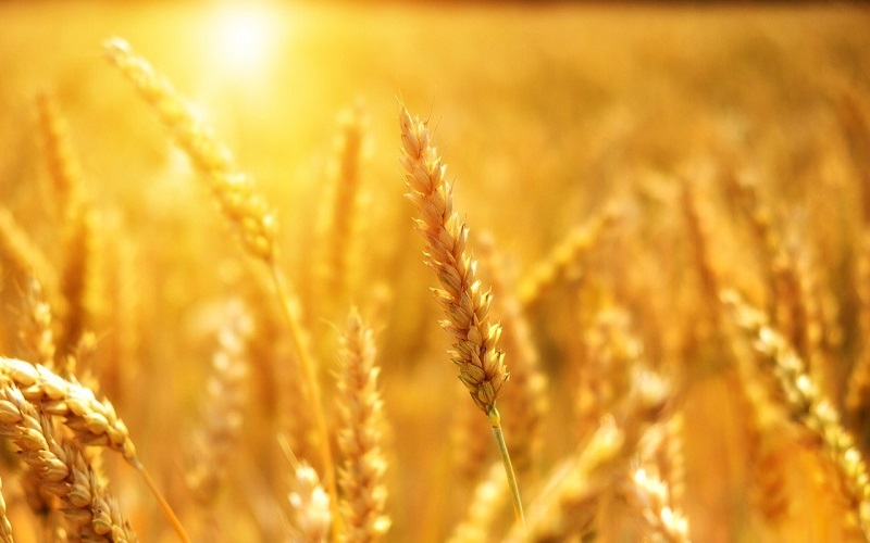 天津大學Nature Commun.：光的妙用，太陽能加速OER