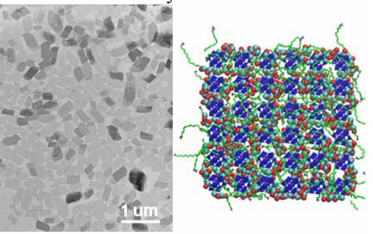 清華大學王訓JACS：簇-核共組裝形成小于1 nm的二維納米片