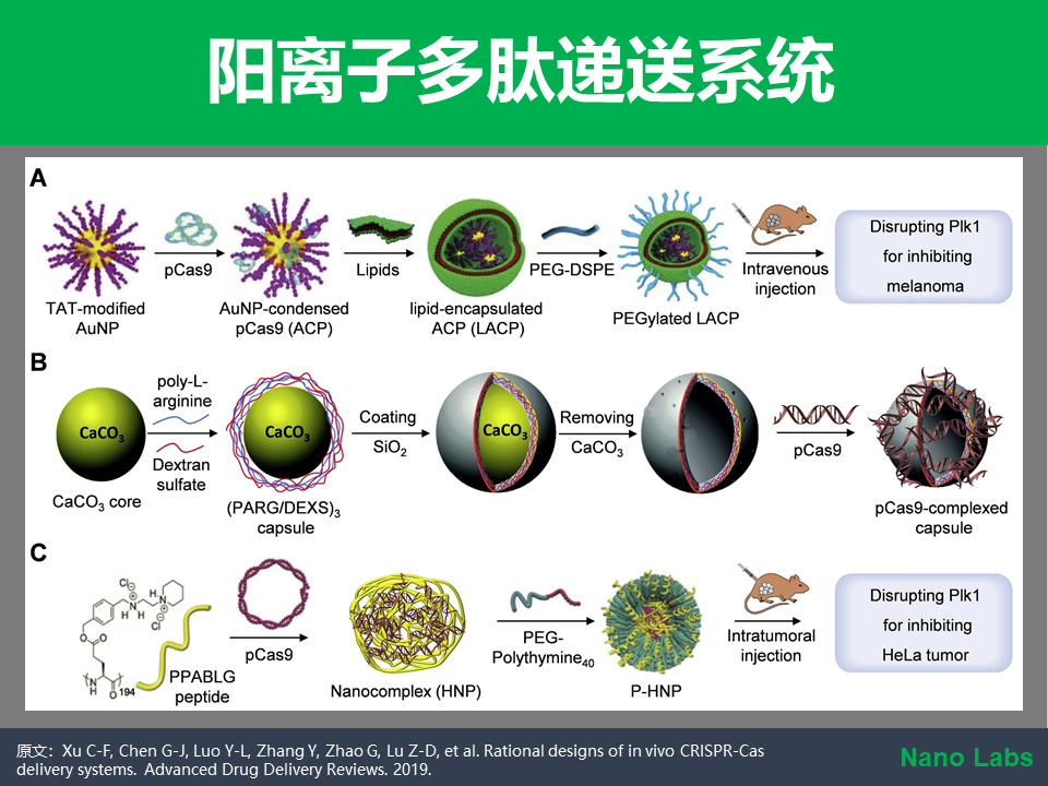 幻燈片13.PNG