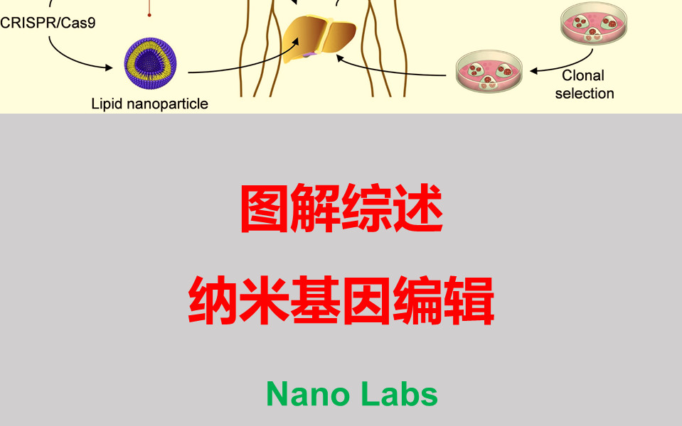 如何設(shè)計(jì)納米基因編輯遞藥系統(tǒng)？從顧臻/王均最新綜述開始！