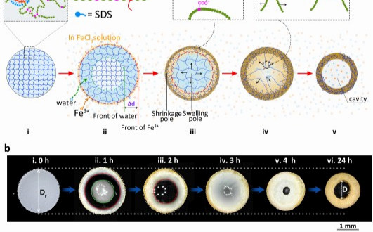 北大Nature Nanotech.、陳學思、Gr?tzel、巢暉、崔光磊等成果速遞丨頂刊日報20191219