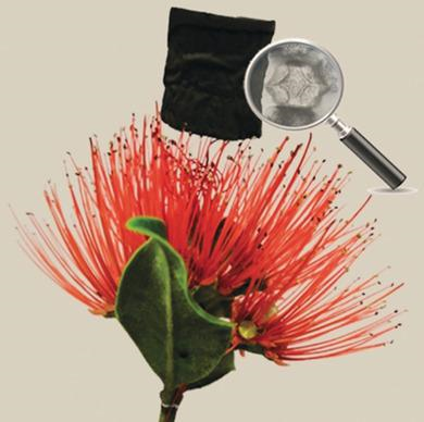 4-.png