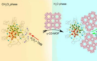 頂刊指路：從最新8篇JACS/Angew，看MOFs/COFs發展趨勢