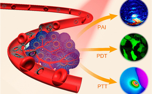 李景虹院士JACS: 原子級納米環進行光聲成像和PTT/PDT聯合治療