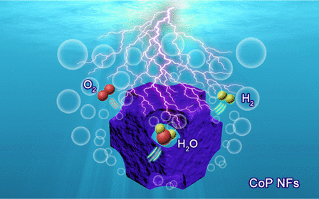 催化周刊丨JACS、PNAS、Nature Commun.等25篇成果精選1230-0105