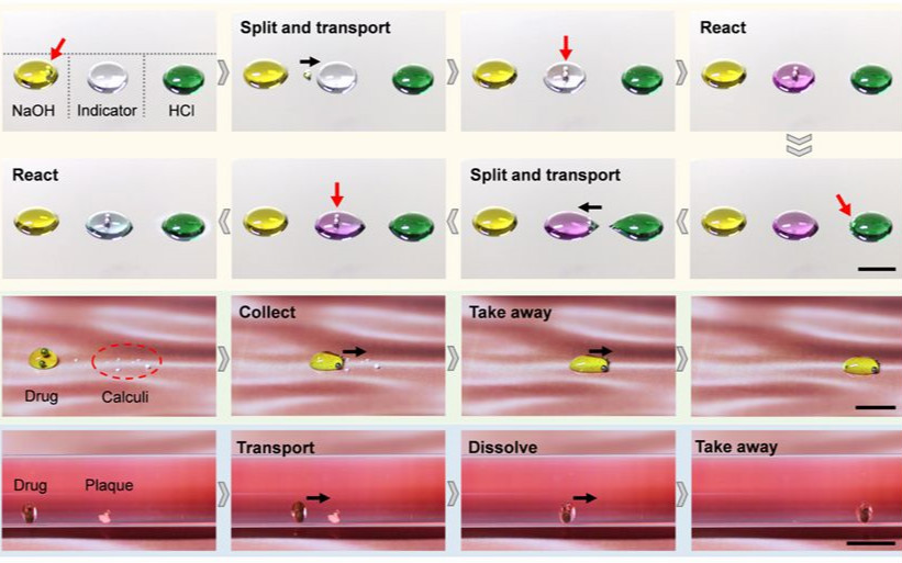 宋延林Science Advances：磁驅動裝置用于可編程液滴操控