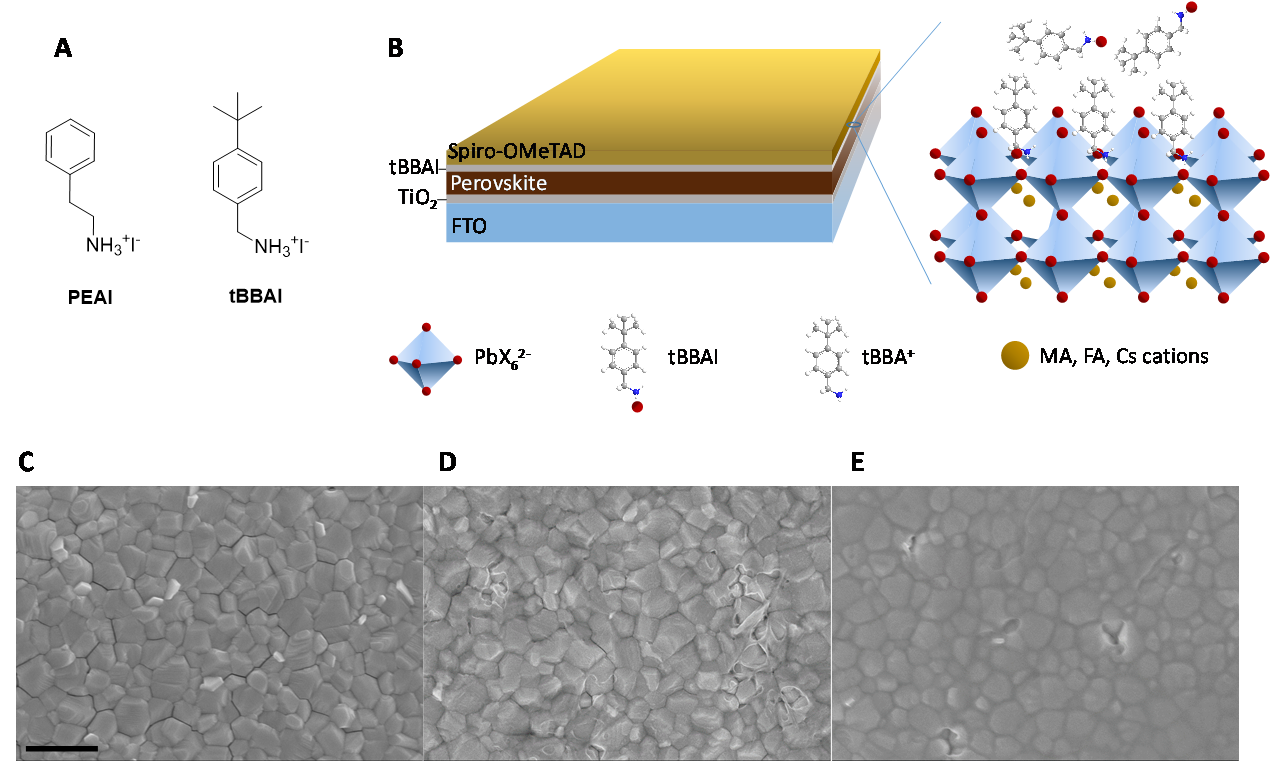 1-.png