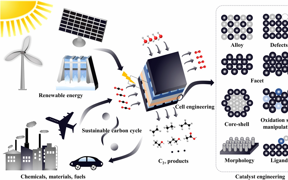 浙大Science Advances，大連化物所Nature Catalysis丨頂刊日報20200225