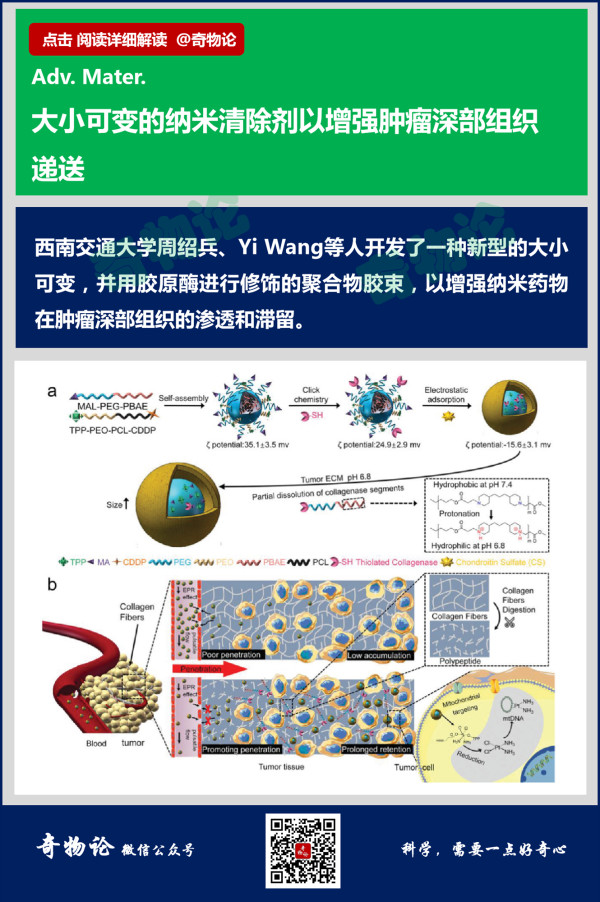 1583309699915620.jpg 3_副本.jpg